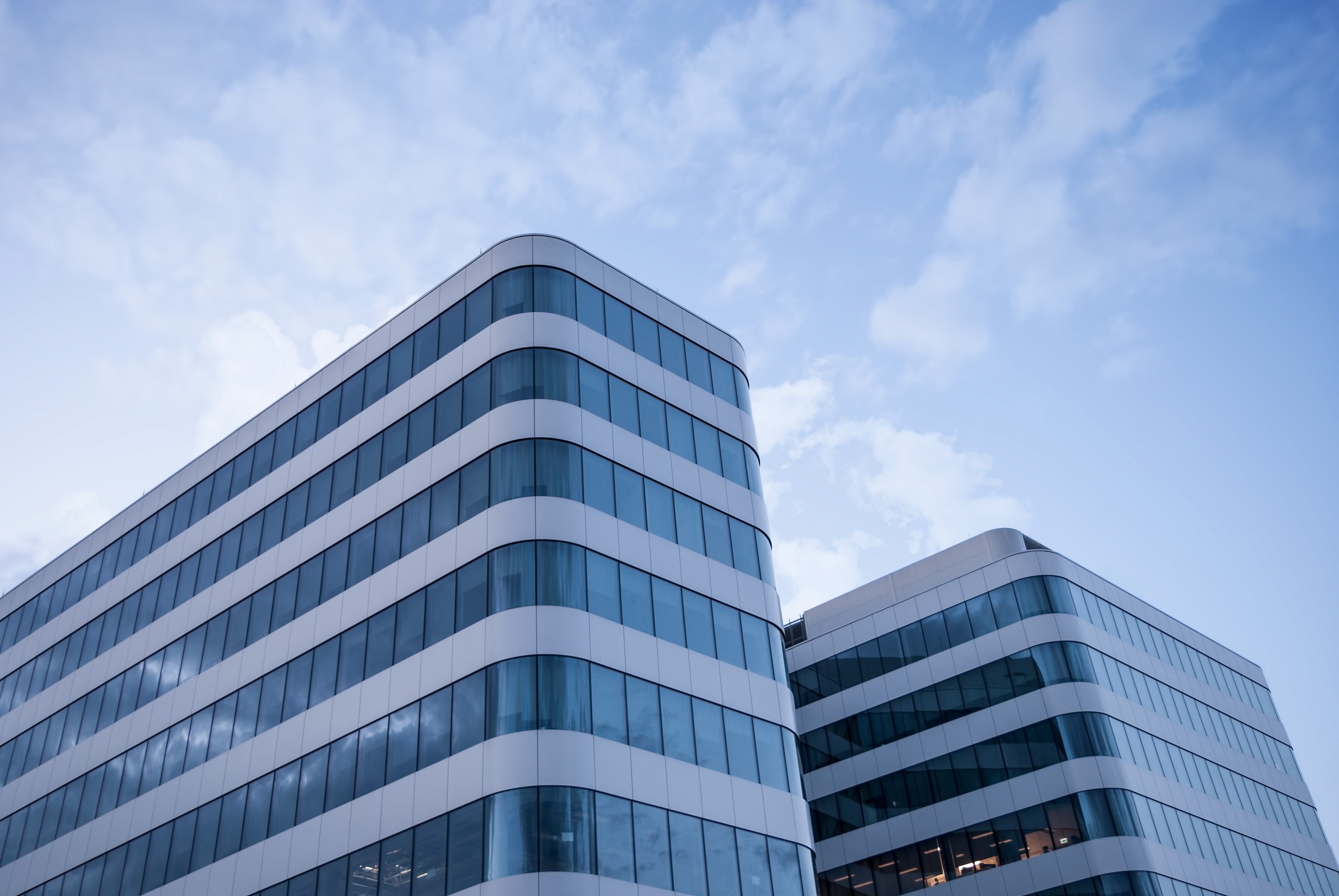 Company overview
